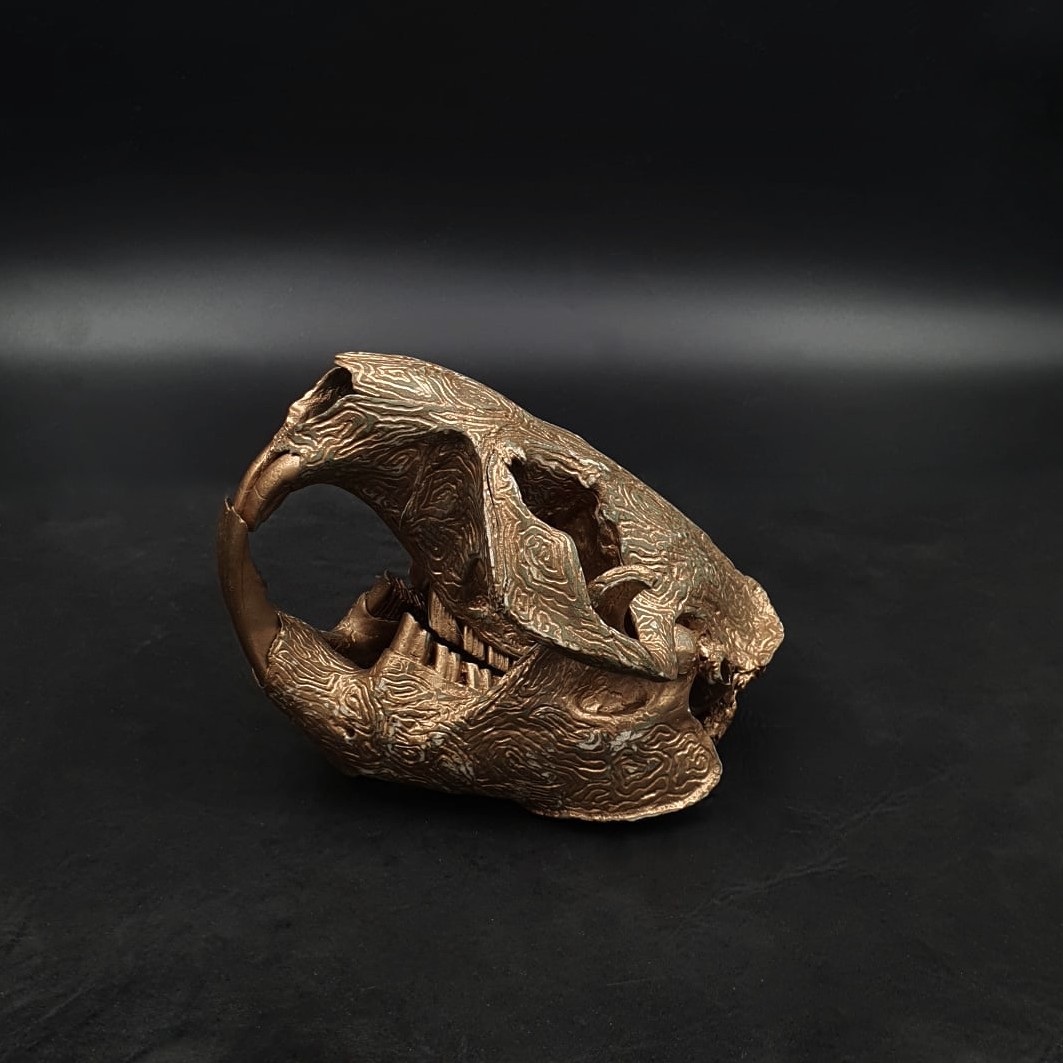 Majavankallo kultainen 3